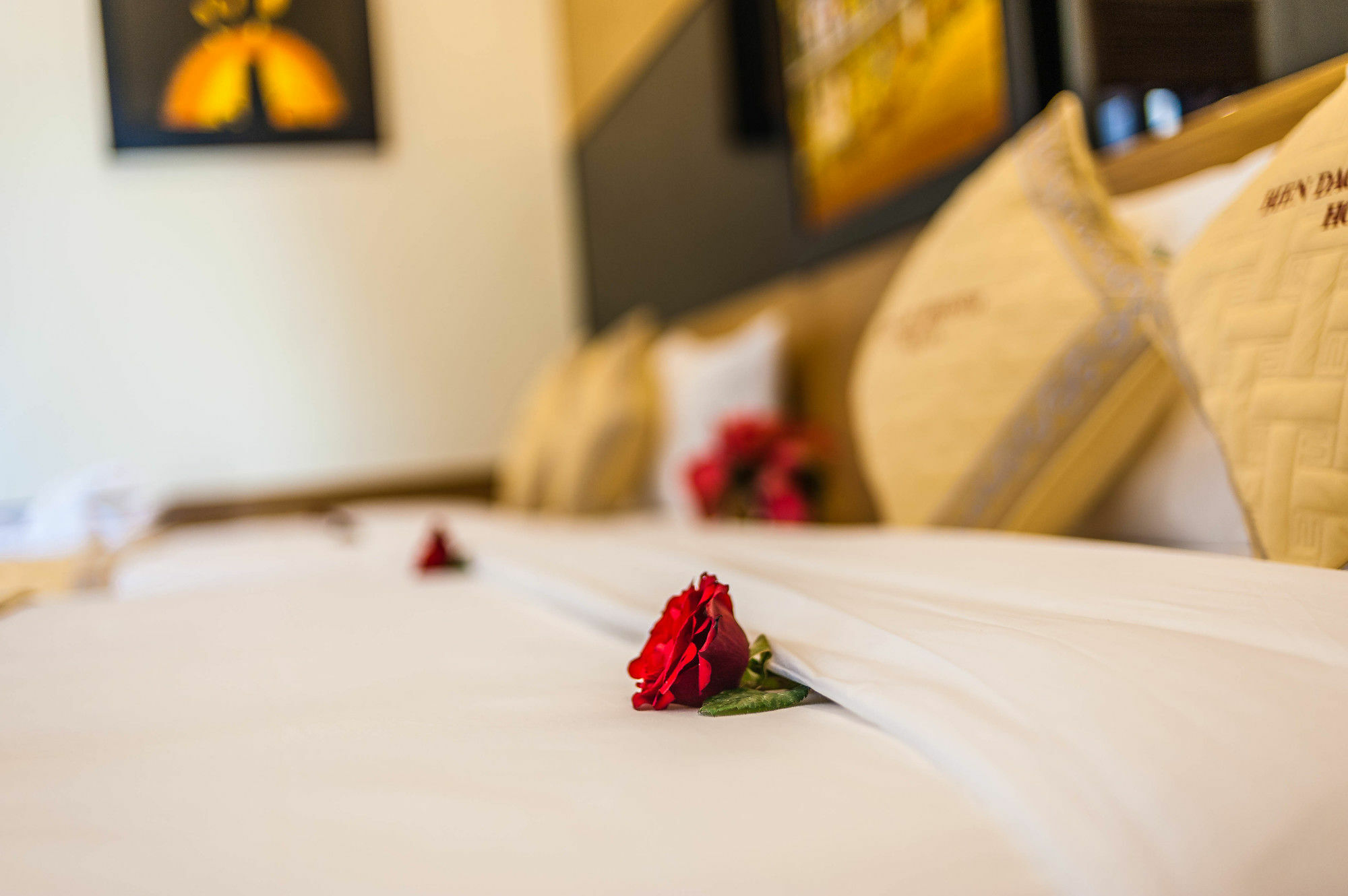 Bien Dao Homestay Hoi An Dış mekan fotoğraf